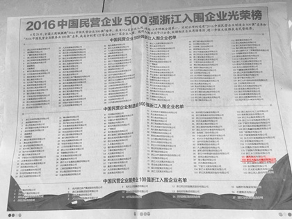 Het groepsbedrijf stond in 2016 op de 485e plaats in de lijst van China's top 500 particuliere ondernemingen in de maakindustrie